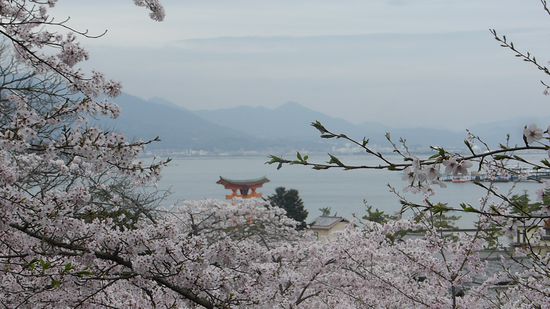 aber auch der Ausblick auf die Hiroshima-Bucht begeister