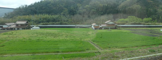 Reisfelder begleiten uns