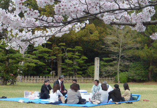 selbst eine Geschäftsbesprechung scheint im Park unter Kirschbäumen möglich zu sein