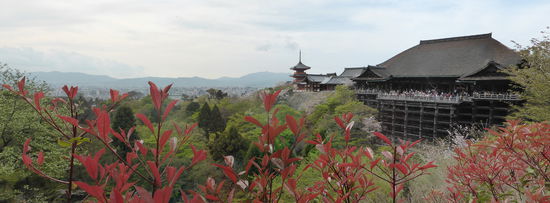 Panorama vom Rundgang
