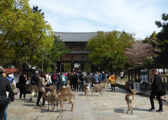 Zugang zum Eingangstor