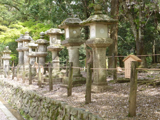 Über tausend steinerne Laternen säumen den Weg dorthin.