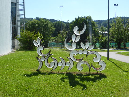 Lichtgewächs - Alexander Wallner