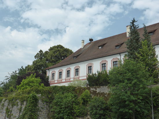 Storchennest auf dem Schloß Miltach