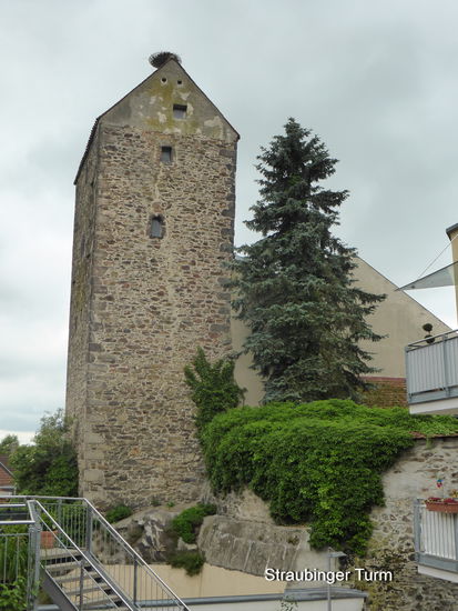 heute wird er von Weißstörchen bewohnt