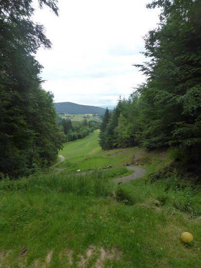 die Herausforderung beginnt bereits an Loch 2 - die Schneise für die Herren ist lang und eng  und zudem auch noch schräg