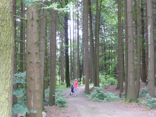 Leider sind die Wege zwischen manchen Grüns und den nächsten Abschlägen recht lang - vielfach führen sie durch den Wald