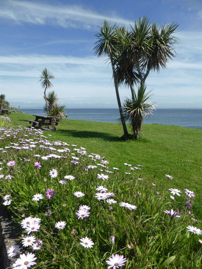das ist die Stelle wo sich Picknick genießen läßt