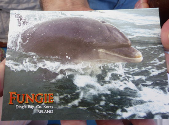 Der ganze Ort ist fungie-verrückt - es gibt Postkarten und eine Skulptur