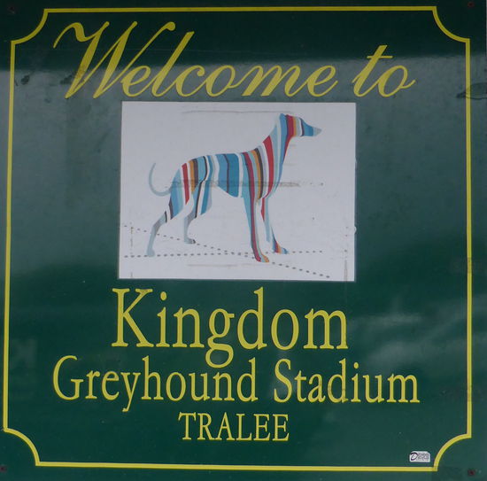 eigens für Windhundrennen unterhaltenes Stadion in Tralee