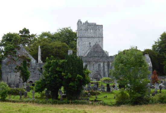 Muckross Abbey - 1340 von Franziskanern gegründet - 1448 jedoch wesentlich verändert