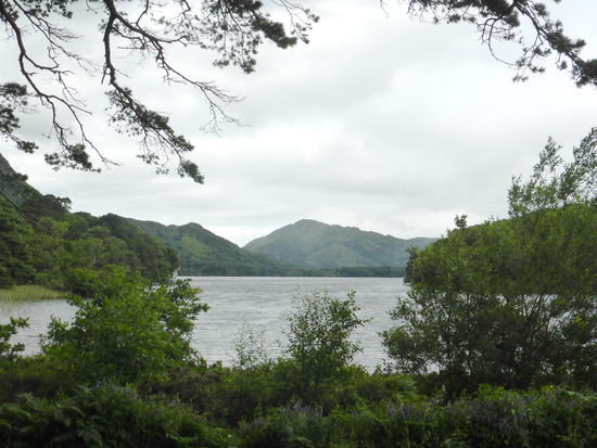 Muckross Lake