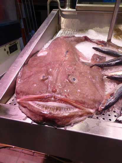 hier schläft er noch