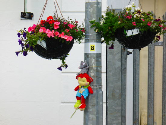 In der gesamten Gegend sehen wir an Masten oder Zäunen aufgehäöngte kleine Puppen - ein Symbol für die Zusammengehörigkeit der Bevölkerung als Wegweiser der Benefiz-Läufe für krebskranke Kinder