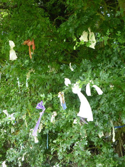 ähnlich wie auf unserer Japanreise findet man im Zugang Stofffetzen an Sträuher gebunden, die Wünsche wahr werden lassen sollen.