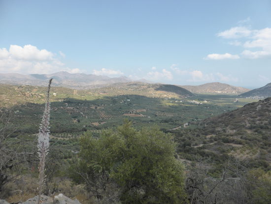 Katharo-Ebene