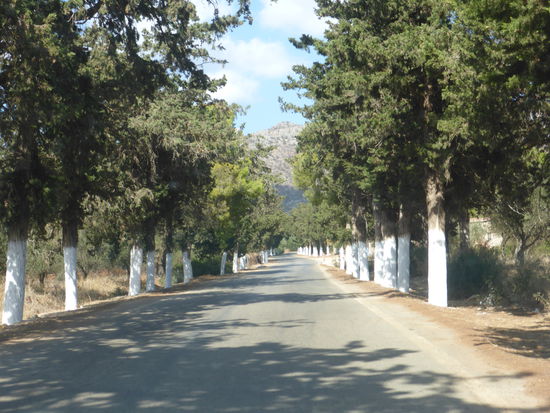 Zufahrt zum Kloster Agía Triada