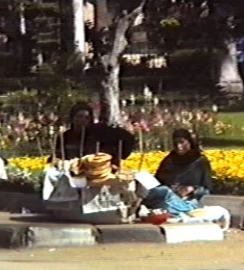 die Brezeln sehen durchaus lecker aus