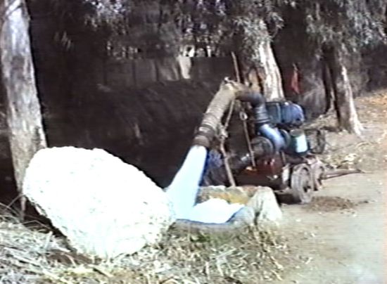 überall stehen Pumpen - manche benzinbetrieben - manche eselbetrieben - die dreckiges Wasser in die Felder zur Bewässerung befördern