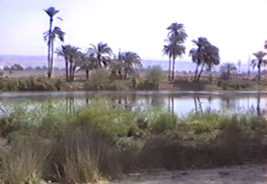 die Straße führt nun viele viel Kilometer entlang des Nils und seinen Seitenarmen