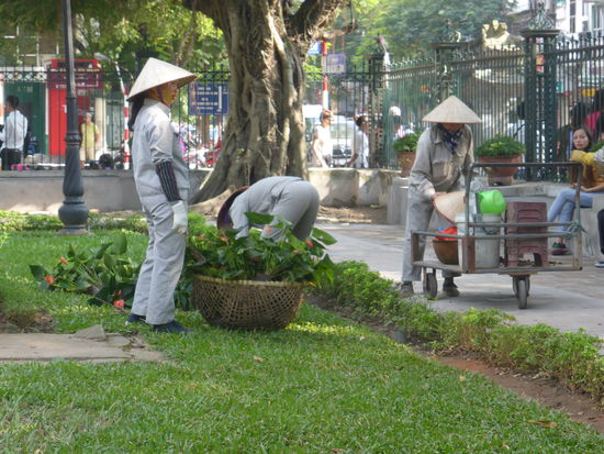 die Pflege der Gärten obliegt den Frauen