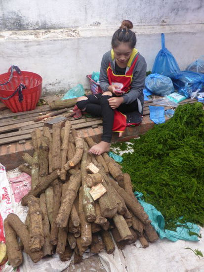 Brennholz und Flussalgen