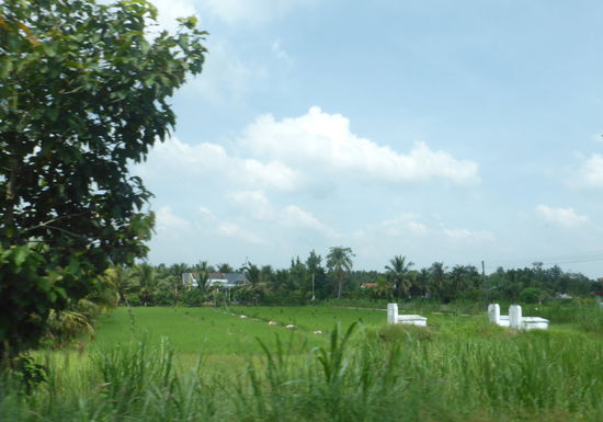 Grabstätten in den Reisfeldern