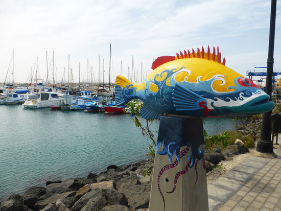 Fische am Jachthafen