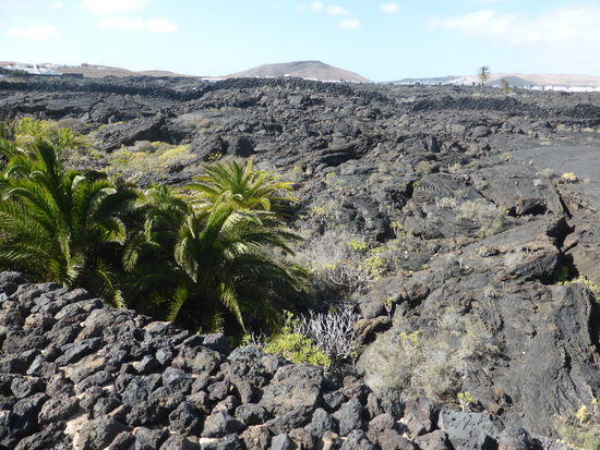in dieser Wildnis fand Manrique einen geeigneten Bauplatz für seinen Wohnsitz