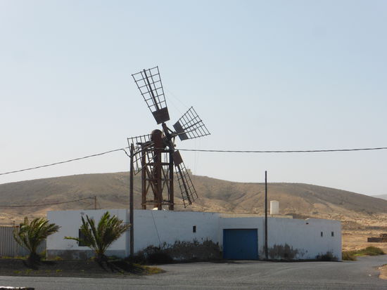 Molino - weibliches Gegenstück - Die Flügel sind auf dem Dach eines ebenerdigen Gebäudes an einem Holzgestell befestigt. Der gesamte Mahlmechanismus war ab dem 19.Jh. ebenerdig.