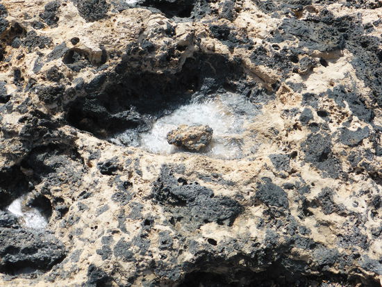 fleur de sel ka man hier selbst ernten