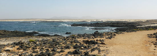 El Toston stellt einen der bedeutendsten paläontologischen Fundorte  Fuerteventuras dar, der Kanareninsel mit den meisten fossilen Überresten. Vor Tausenden von Jahren waren sie-Sandflächen am Rand des Meeres, heute sind sie zu einem ‚fossilen Strand‘ versteinert und erzählen uns zum Beispiel von dem Klima vergangener Zeitepochen.