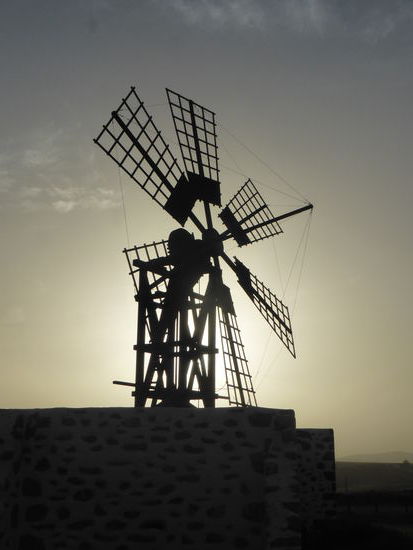 Molina von Tefia - mit 6 Flügeln (vier kommen auch häufig vor)