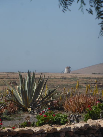 Gofiomühle im Westen