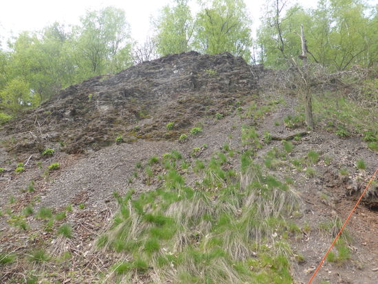 Ölschiefer (in der Erosion)