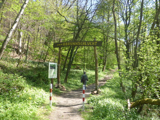 Zugang vom Dorf (wir müssen zurück - aber es hat auch uns 'alten Kindern' Spaß gemacht