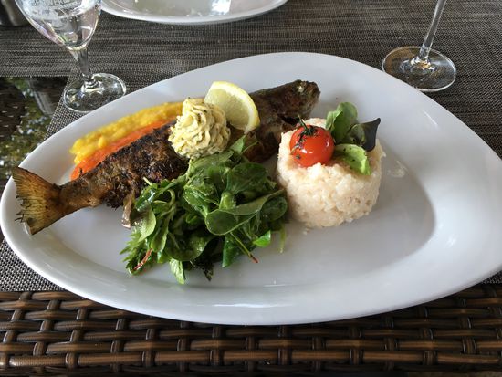 Forelle mit zweierlei Paprikamousse