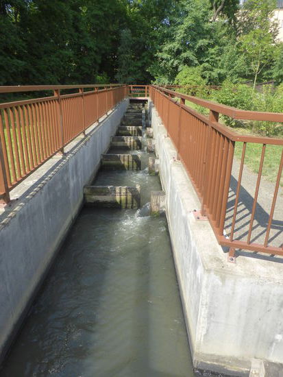 Fischtreppe - Anglerverein Froburg