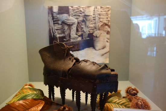 Hauensteiner Kastanienschuh (um 1840) - (Sotes)