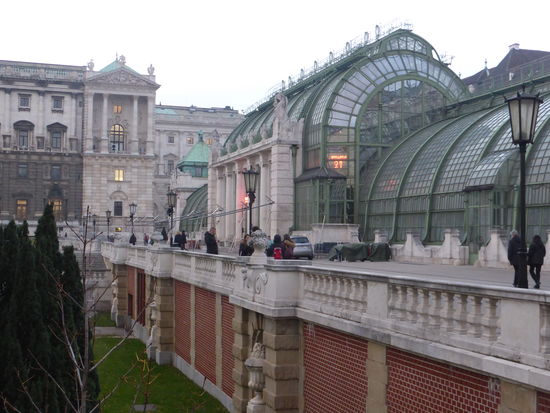Palmenhaus - Eisenkonstruktion vom Feinsten