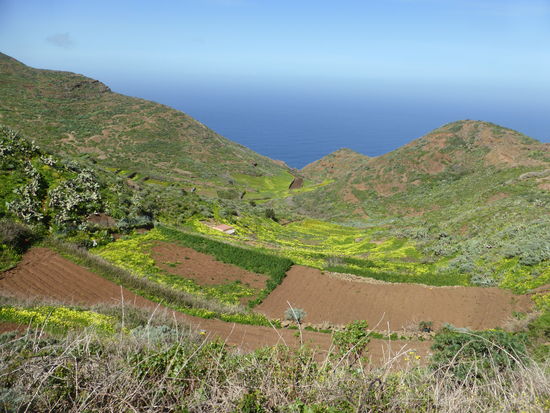 auch hier wieder Landwirtschaft in Terrassen