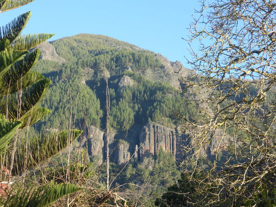 Tage später entdecke ich von einer ganz anderen Stelle die Los Organos  'fotogener'.