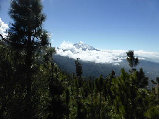 mal kann man nordwestlich den teide sehen