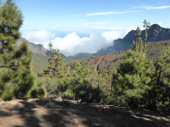 mal kann man nach Südosten auf die andere Seite der Insel schauen