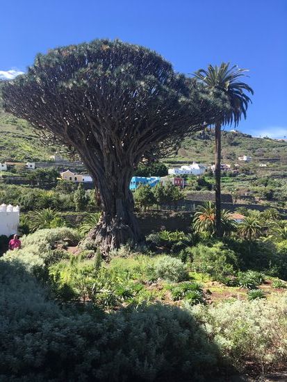 dr 'kostenlose' Blick vom Kirchplatz aus