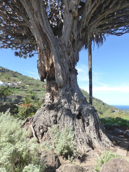hie merkt man ihm die 1000 Jahre schon an