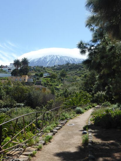und immer der Teide - diesmal in Wolken
