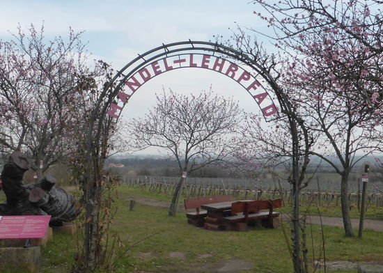 Mandel-Lehrpfad (MLP)