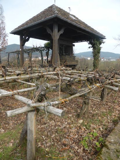 historische Anbauweise für Reben seit dem 13. Jh. bis Anf. des 20. Jh.