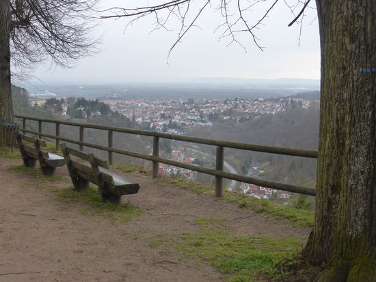 die Klosterruine Limburg liegt im Westen von Bad Dürkheim am Ostrand des Pfälzerwalds